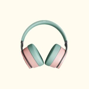 True Wireless Earbuds (TWS)